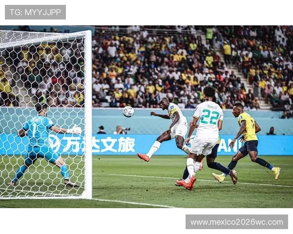 上一届世界杯冠军的比赛录像回放，重温那些令人激动的比赛瞬间