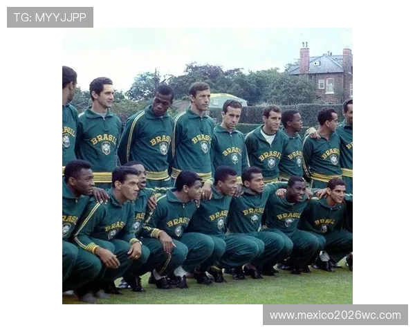 2026年世界杯名额分配规则对参赛国家策略和备战计划的实际指导作用 2026年世界杯名额分配规则对参赛国家策略和备战计划的实际指导作用