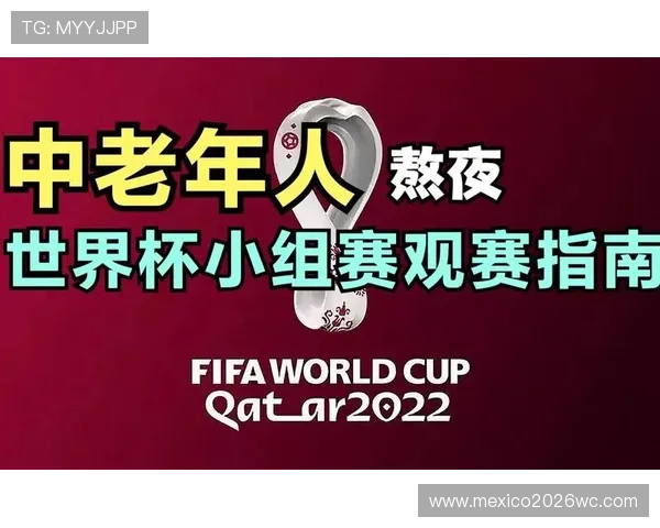2026年世界杯亚洲预选赛比赛现场观赛指南与购票攻略