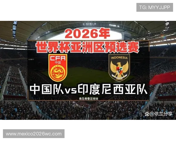 2026年世界杯亚洲区预选赛规则实施细则及其对比赛公平性的保障措施