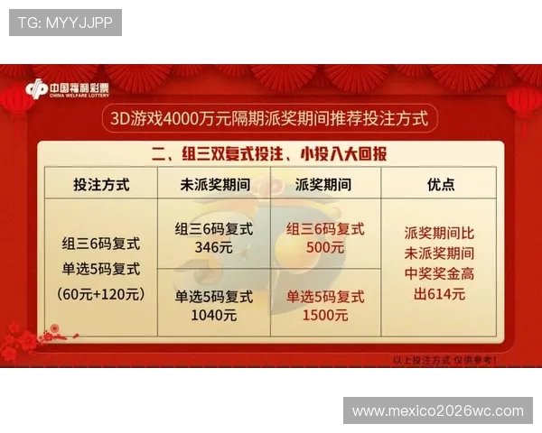 全面解析真人买球游戏的优势与风险，助你理性投注实现稳定盈利的实用指南