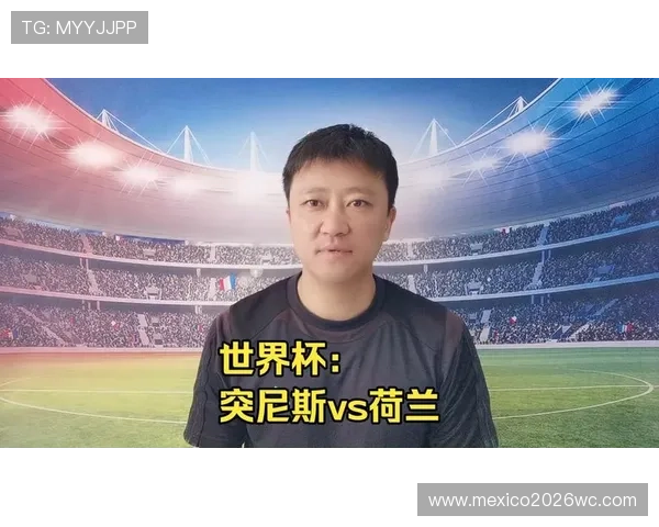 2026年世界杯突尼斯VS荷兰比赛场馆容量及相关赛场设施全景介绍与观众入场指南